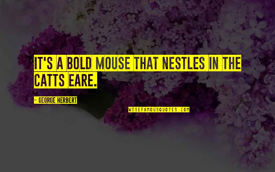 Catts Quotes By George Herbert: It's a bold mouse that nestles in the
