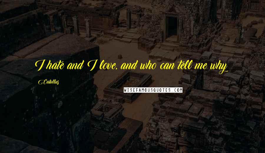 Catullus quotes: I hate and I love, and who can tell me why?