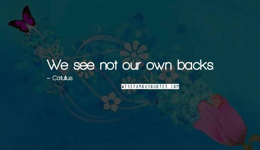 Catullus quotes: We see not our own backs.