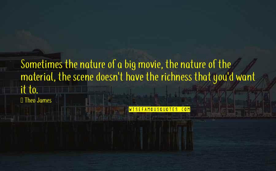 Caturday Quotes By Theo James: Sometimes the nature of a big movie, the