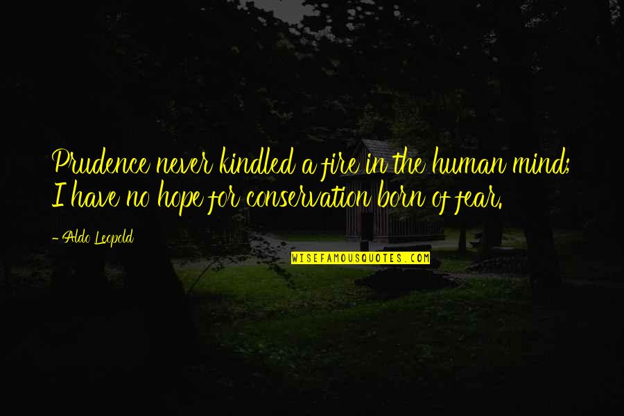 Cauduro Ofelia Quotes By Aldo Leopold: Prudence never kindled a fire in the human Cauduro Ofelia Quotes By Aldo Leopold: Prudence never kindled a fire in the human
