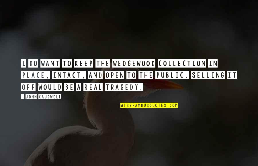 Caudwell Quotes By John Caudwell: I do want to keep the Wedgewood Collection Caudwell Quotes By John Caudwell: I do want to keep the Wedgewood Collection