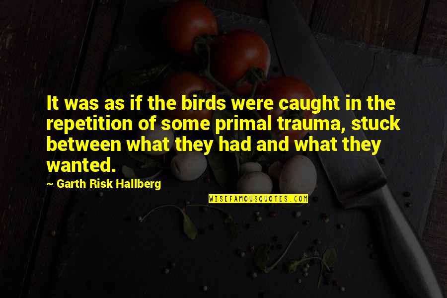 Caught Between Quotes By Garth Risk Hallberg: It was as if the birds were caught