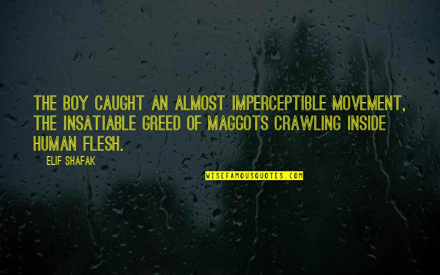 Caught Quotes By Elif Shafak: The boy caught an almost imperceptible movement, the Caught Quotes By Elif Shafak: The boy caught an almost imperceptible movement, the