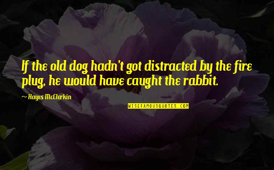 Caught Quotes By Hayes McClerkin: If the old dog hadn't got distracted by