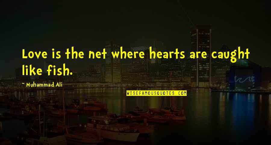 Caught Quotes By Muhammad Ali: Love is the net where hearts are caught Caught Quotes By Muhammad Ali: Love is the net where hearts are caught