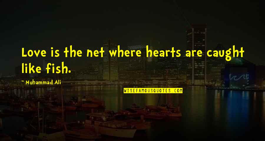 Caught Quotes By Muhammad Ali: Love is the net where hearts are caught