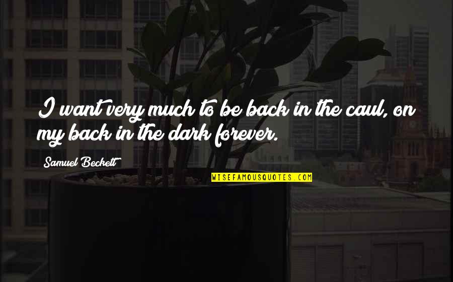 Caul Quotes By Samuel Beckett: I want very much to be back in