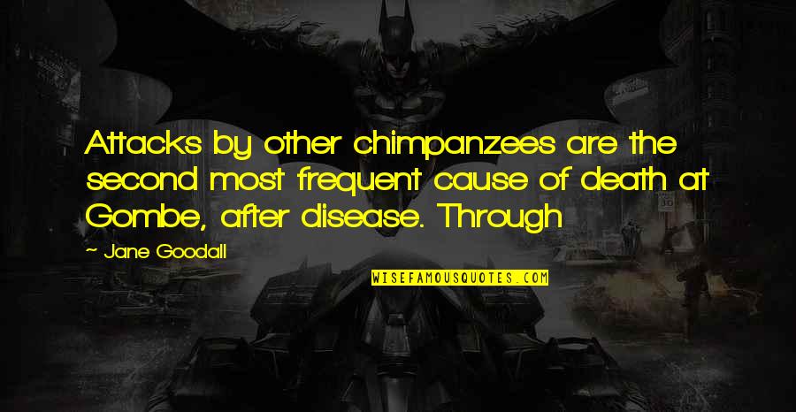 Cause Of Death Quotes By Jane Goodall: Attacks by other chimpanzees are the second most