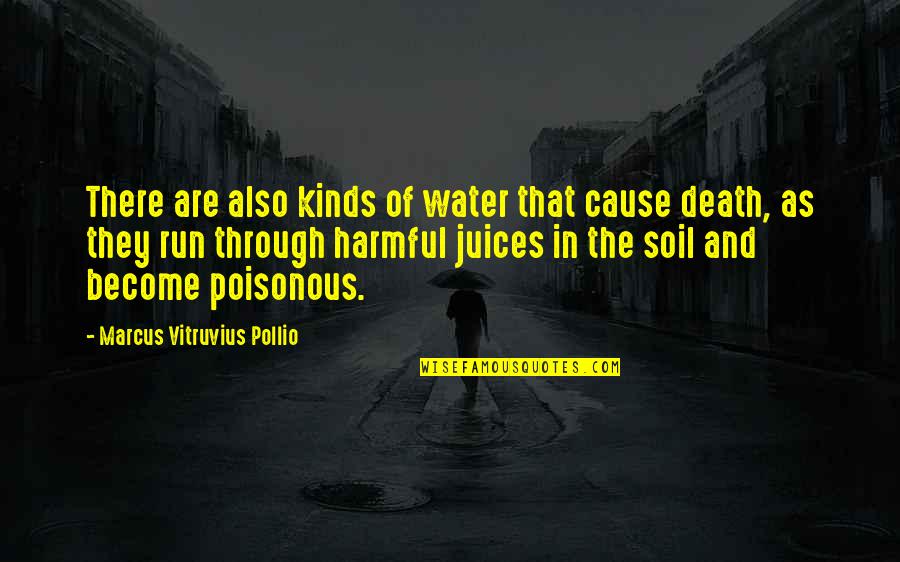 Cause Of Death Quotes By Marcus Vitruvius Pollio: There are also kinds of water that cause