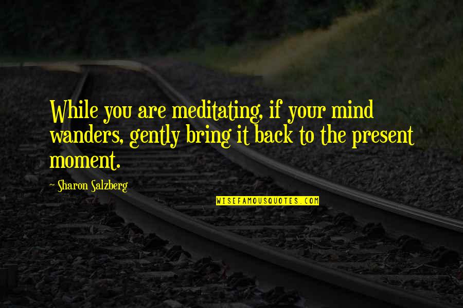 Cause Of Loneliness Quotes By Sharon Salzberg: While you are meditating, if your mind wanders, Cause Of Loneliness Quotes By Sharon Salzberg: While you are meditating, if your mind wanders,