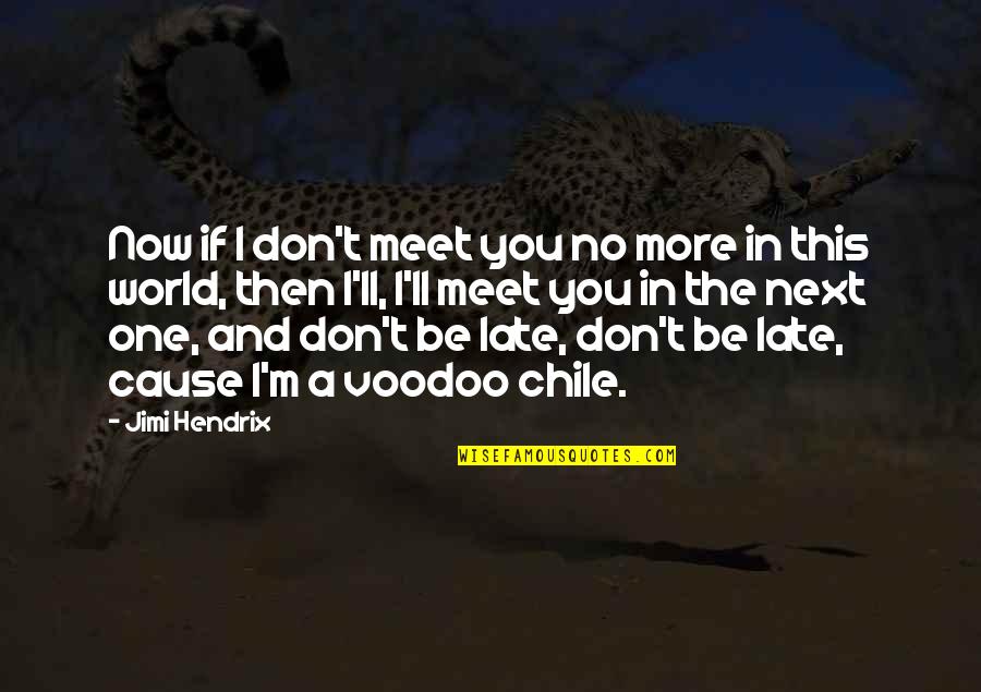 Cause'll Quotes By Jimi Hendrix: Now if I don't meet you no more Cause'll Quotes By Jimi Hendrix: Now if I don't meet you no more