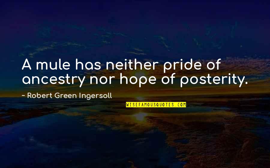 Causerie 1 Quotes By Robert Green Ingersoll: A mule has neither pride of ancestry nor