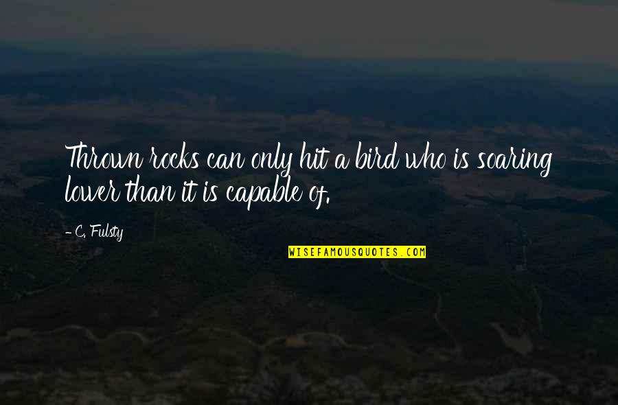 Causes Of Bullying Quotes By C. Fulsty: Thrown rocks can only hit a bird who