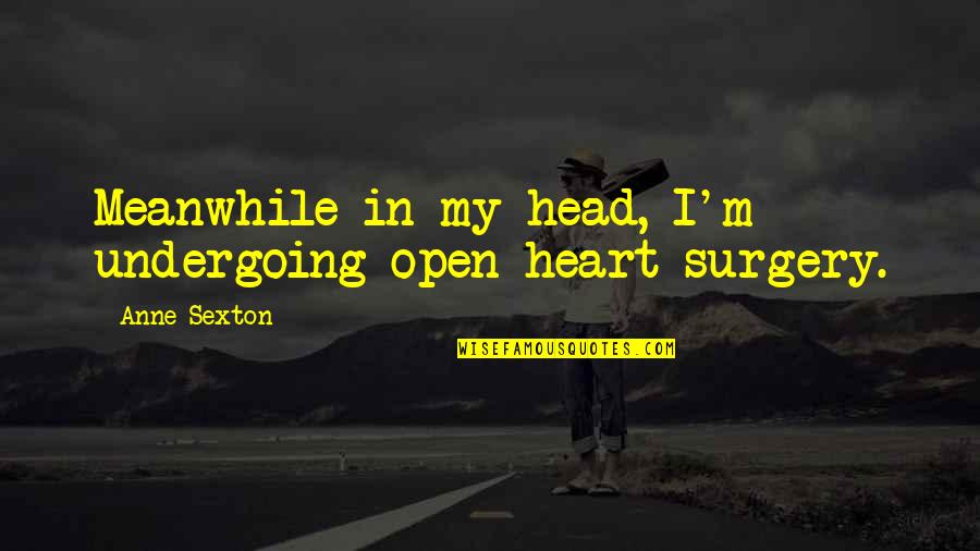 Causing Your Own Problems Quotes By Anne Sexton: Meanwhile in my head, I'm undergoing open-heart surgery.