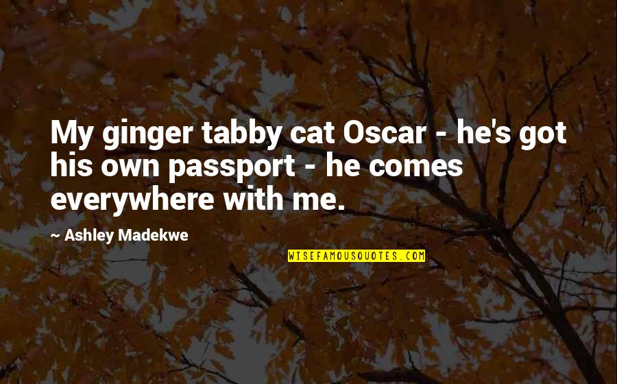 Caustique D Finition Quotes By Ashley Madekwe: My ginger tabby cat Oscar - he's got Caustique D Finition Quotes By Ashley Madekwe: My ginger tabby cat Oscar - he's got
