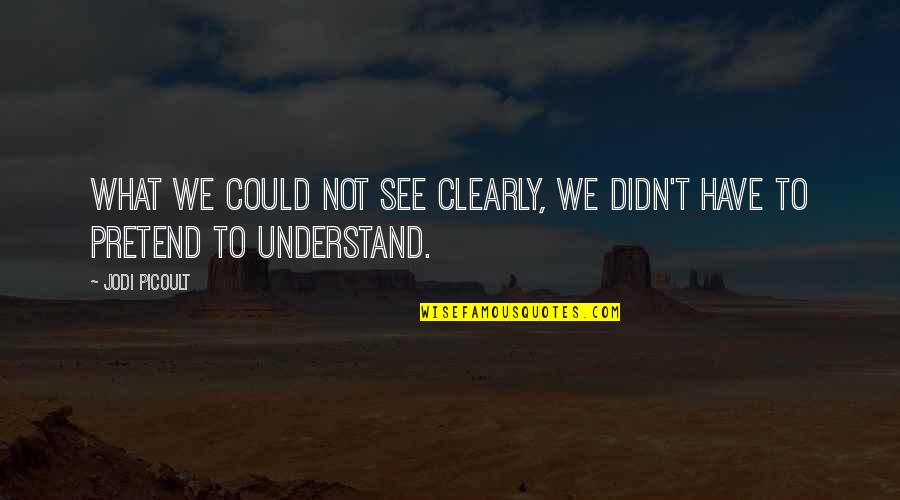Cautatorii Quotes By Jodi Picoult: What we could not see clearly, we didn't