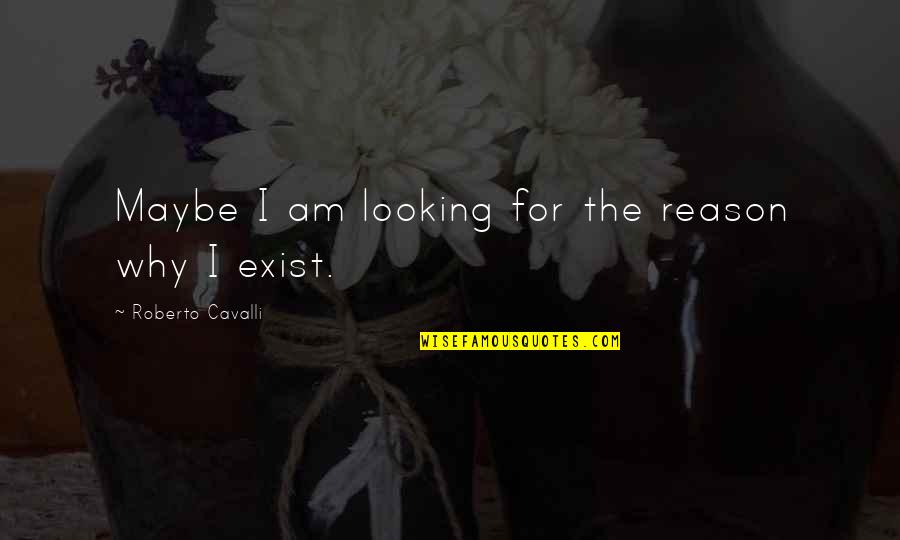 Cavalli Quotes By Roberto Cavalli: Maybe I am looking for the reason why Cavalli Quotes By Roberto Cavalli: Maybe I am looking for the reason why