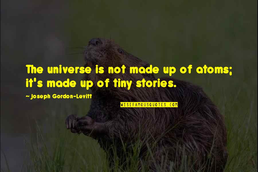 Cavernas De Marmol Quotes By Joseph Gordon-Levitt: The universe is not made up of atoms;