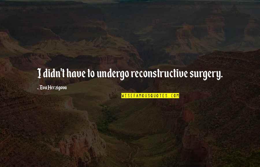 Cavity Sliders Quotes By Eva Herzigova: I didn't have to undergo reconstructive surgery. Cavity Sliders Quotes By Eva Herzigova: I didn't have to undergo reconstructive surgery.