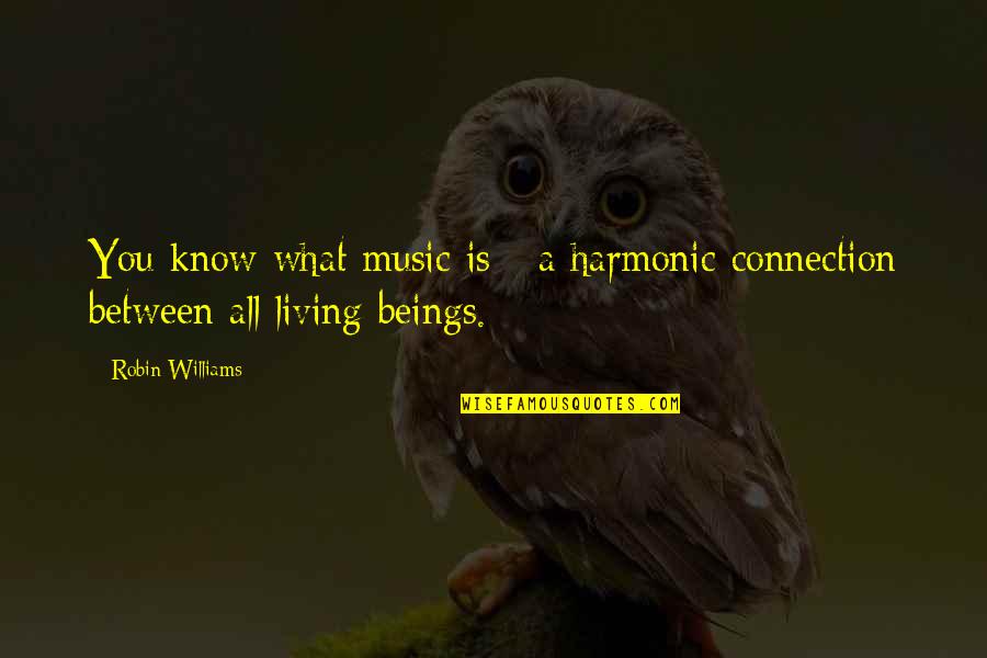 Cawsand Beach Quotes By Robin Williams: You know what music is - a harmonic