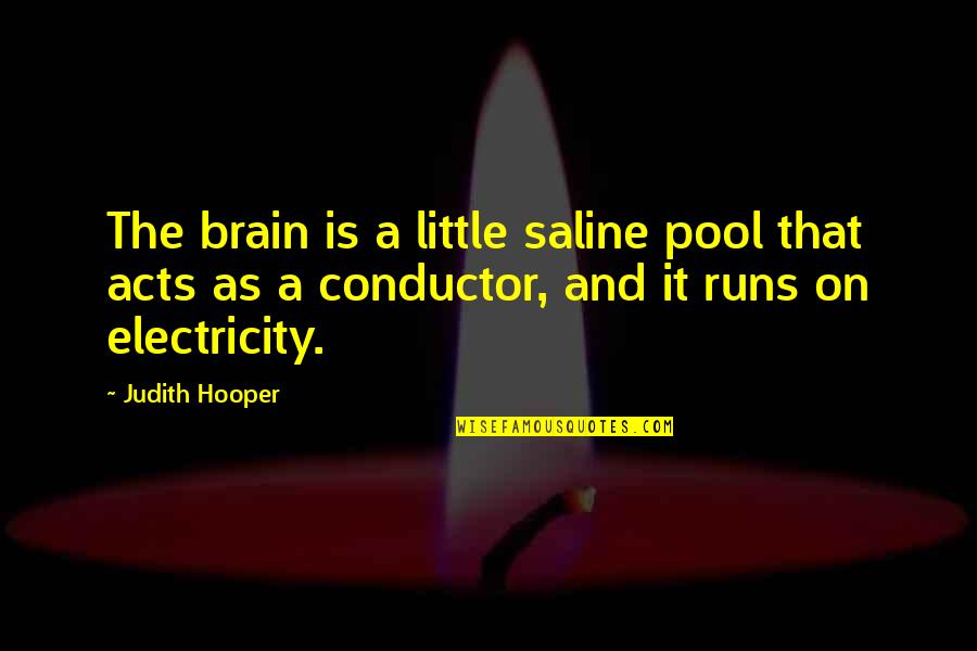 Cayetano Quotes By Judith Hooper: The brain is a little saline pool that Cayetano Quotes By Judith Hooper: The brain is a little saline pool that