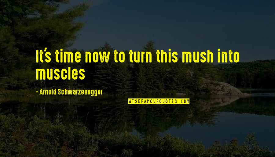 Caylen Bachelor Quotes By Arnold Schwarzenegger: It's time now to turn this mush into Caylen Bachelor Quotes By Arnold Schwarzenegger: It's time now to turn this mush into