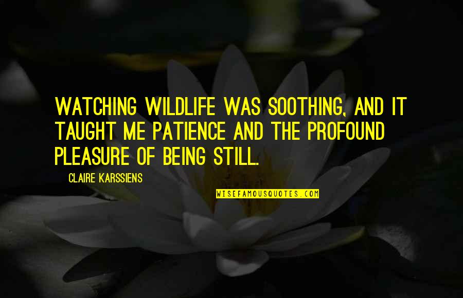 Caylie Quotes By Claire Karssiens: Watching wildlife was soothing, and it taught me Caylie Quotes By Claire Karssiens: Watching wildlife was soothing, and it taught me