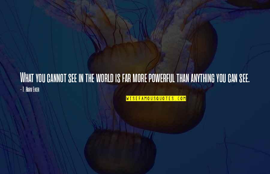 Caymanian Quotes By T. Harv Eker: What you cannot see in the world is