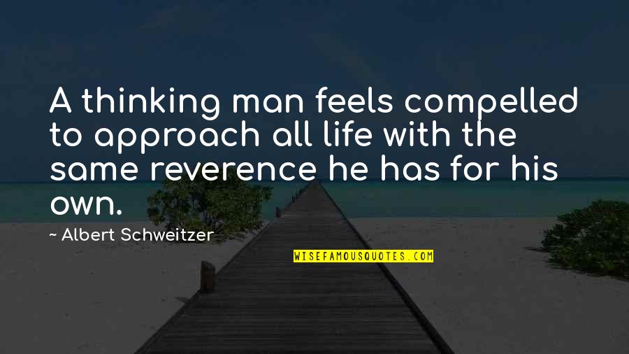 Caymitos Quotes By Albert Schweitzer: A thinking man feels compelled to approach all