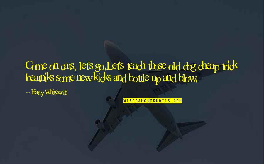 Cbi Construction Quotes By Harry Whitewolf: Come on cats, let's go.Let's teach those old Cbi Construction Quotes By Harry Whitewolf: Come on cats, let's go.Let's teach those old