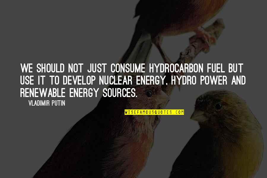 Cbt Quotes By Vladimir Putin: We should not just consume hydrocarbon fuel but