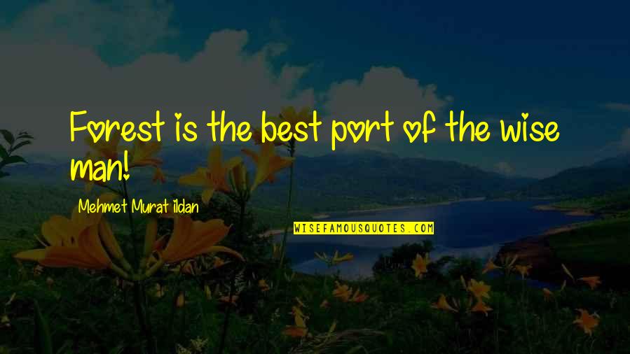 Ccdc Boise Quotes By Mehmet Murat Ildan: Forest is the best port of the wise Ccdc Boise Quotes By Mehmet Murat Ildan: Forest is the best port of the wise