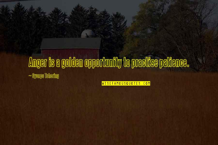 Ccteller Quotes By Gyonpo Tshering: Anger is a golden opportunity to practise patience.