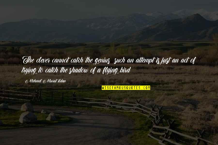 Ceafa De Porc Quotes By Mehmet Murat Ildan: The clever cannot catch the genius; such an