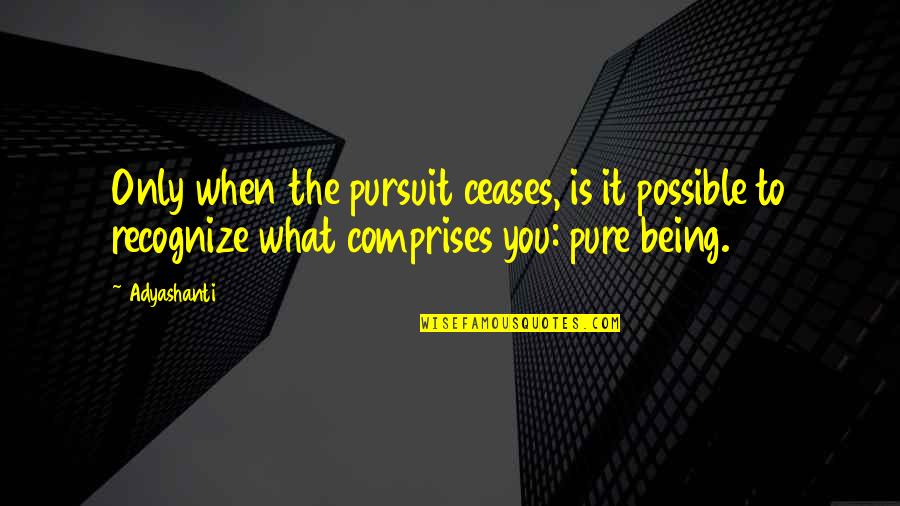 Ceases Quotes By Adyashanti: Only when the pursuit ceases, is it possible