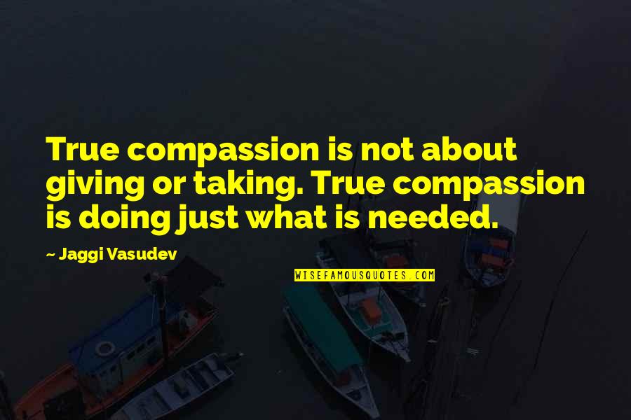 Cecil Andrus Quotes By Jaggi Vasudev: True compassion is not about giving or taking.
