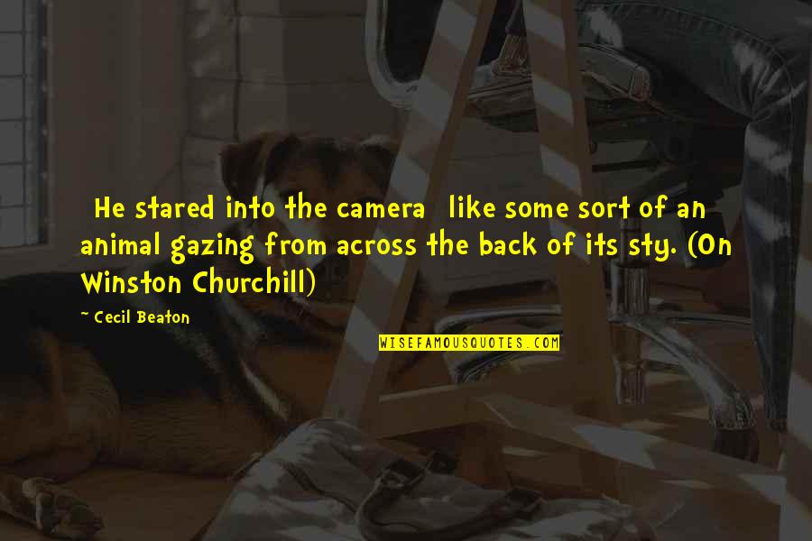 Cecil Quotes By Cecil Beaton: [He stared into the camera] like some sort