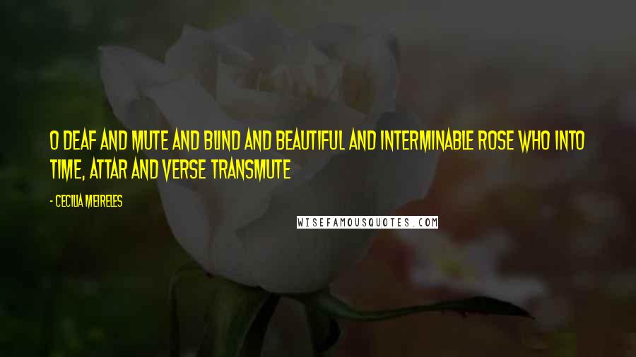 Cecilia Meireles quotes: O deaf and mute and blind and beautiful and interminable rose who into time, attar and verse transmute