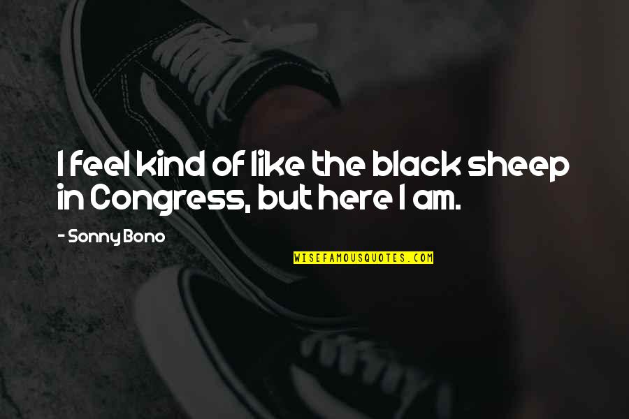 Cecilia Tait Quotes By Sonny Bono: I feel kind of like the black sheep