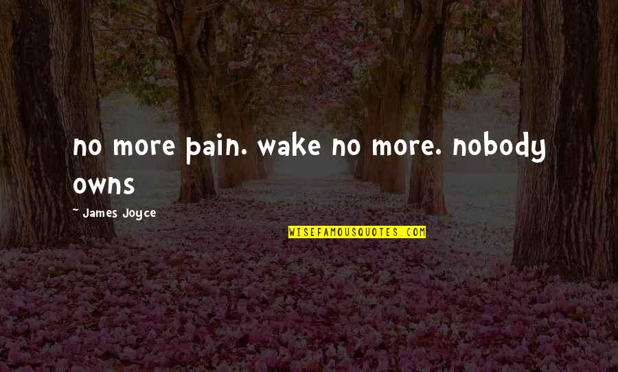 Cecily Earnest Quotes By James Joyce: no more pain. wake no more. nobody owns