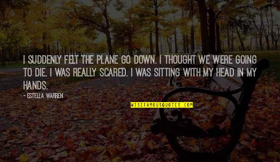 Cedencia Exploracao Quotes By Estella Warren: I suddenly felt the plane go down. I