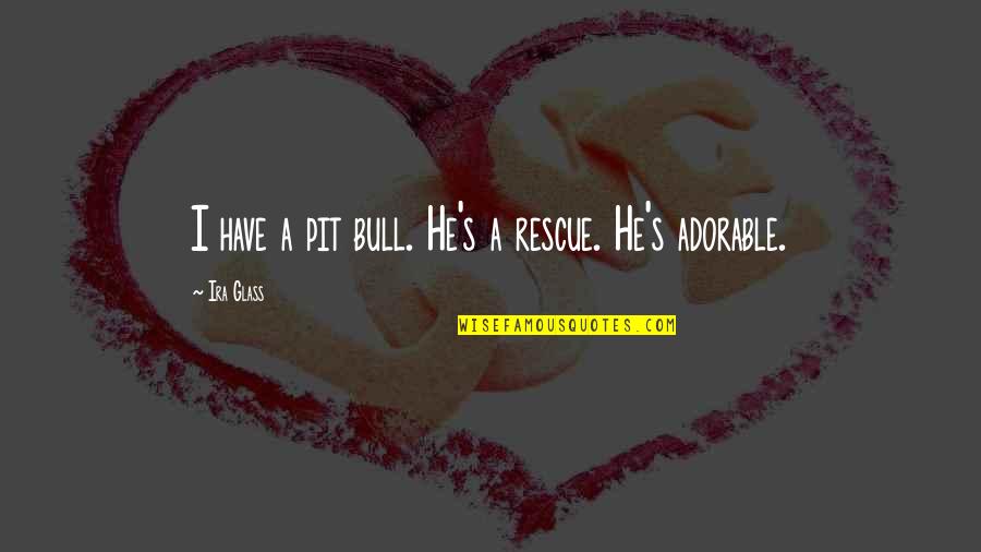 Cediendole Quotes By Ira Glass: I have a pit bull. He's a rescue. Cediendole Quotes By Ira Glass: I have a pit bull. He's a rescue.