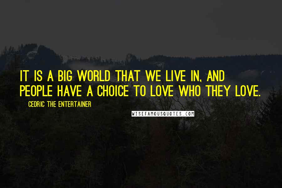 Cedric The Entertainer quotes: It is a big world that we live in, and people have a choice to love who they love.