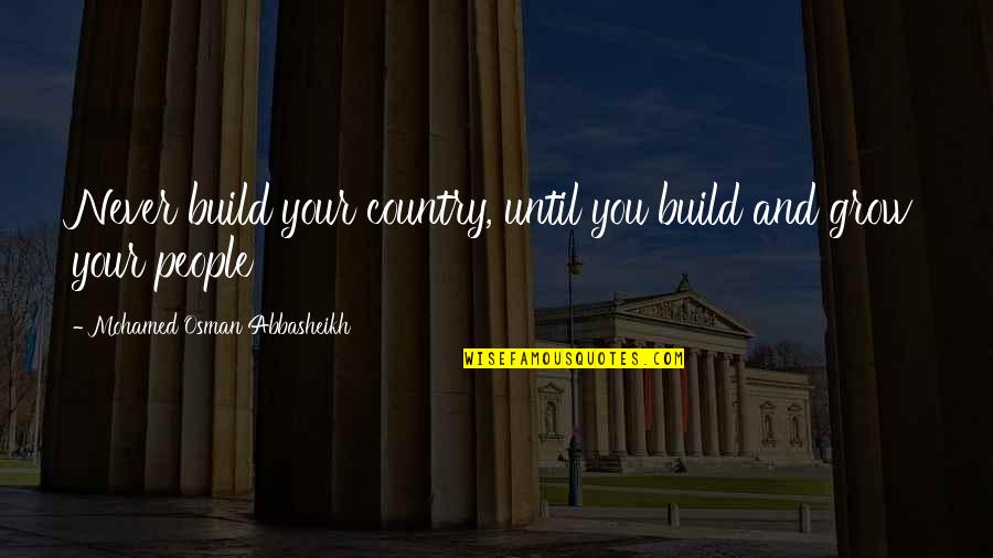 Cedros Soles Quotes By Mohamed Osman Abbasheikh: Never build your country, until you build and