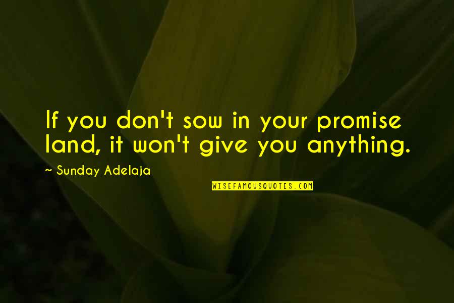 Cees Nooteboom Quotes By Sunday Adelaja: If you don't sow in your promise land, Cees Nooteboom Quotes By Sunday Adelaja: If you don't sow in your promise land,