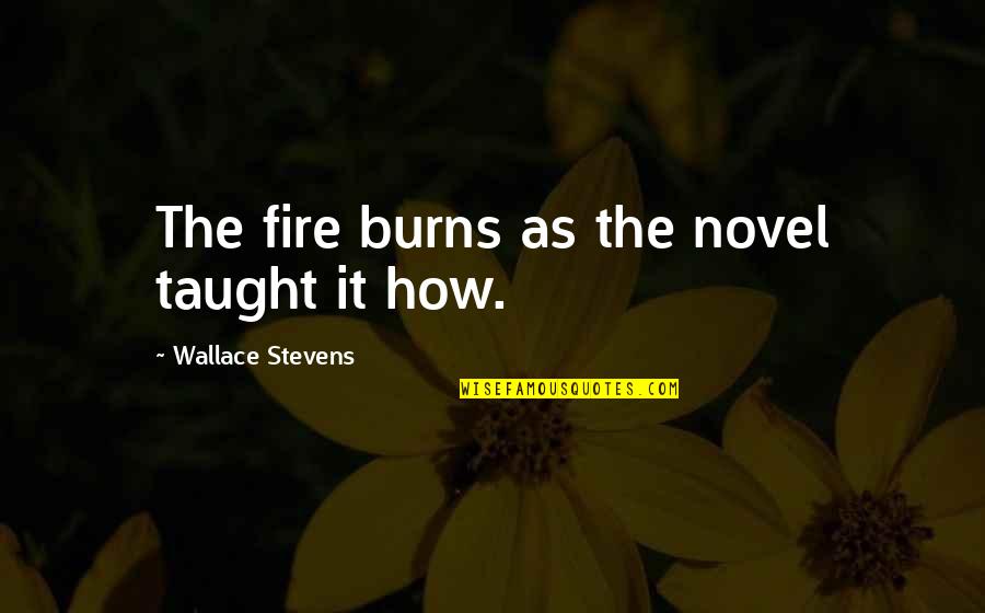 Cehennem Melekleri Quotes By Wallace Stevens: The fire burns as the novel taught it