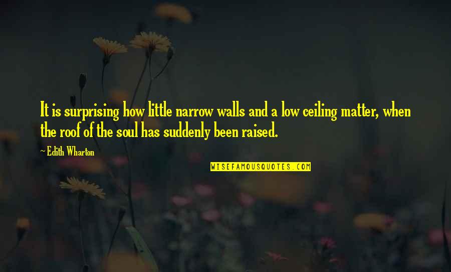 Ceiling And Walls Quotes By Edith Wharton: It is surprising how little narrow walls and