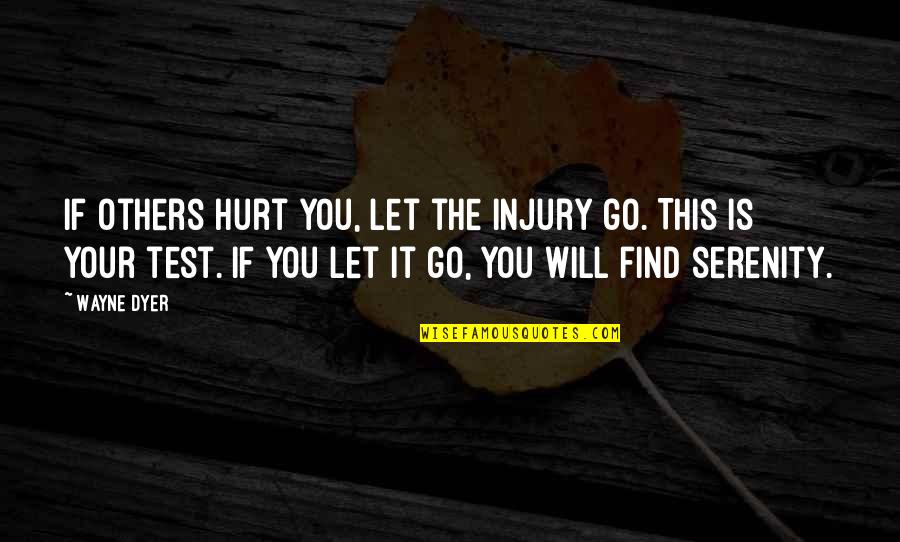 Ceintures Karate Quotes By Wayne Dyer: If others hurt you, let the injury go. Ceintures Karate Quotes By Wayne Dyer: If others hurt you, let the injury go.