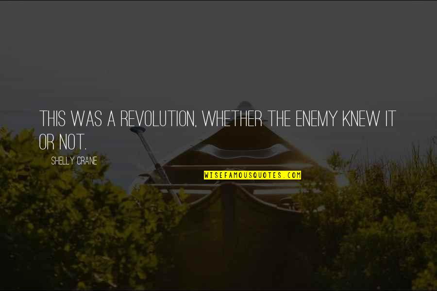 Celaleddin Karatay Quotes By Shelly Crane: This was a revolution, whether the enemy knew Celaleddin Karatay Quotes By Shelly Crane: This was a revolution, whether the enemy knew